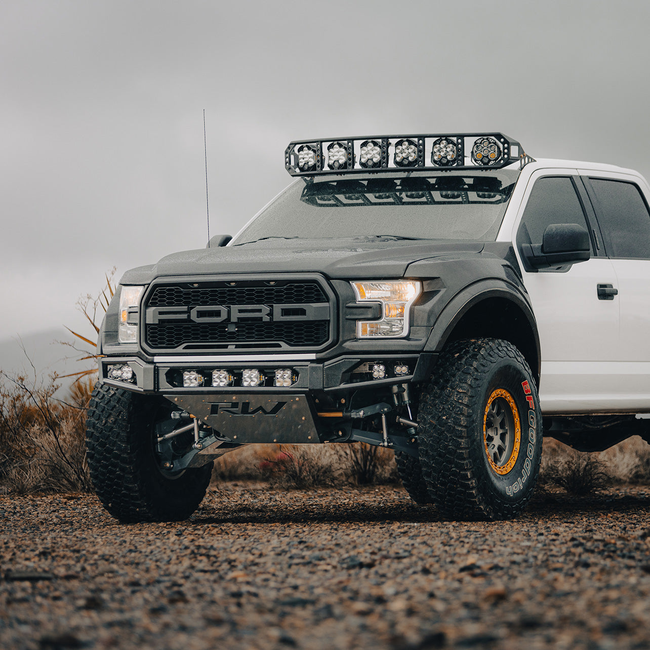 Ford Gen 2 Raptor/F150 LTR Suspension Kit (Front) – Robby Woods